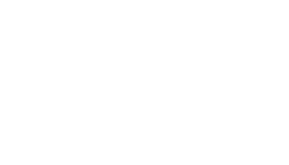 light logo